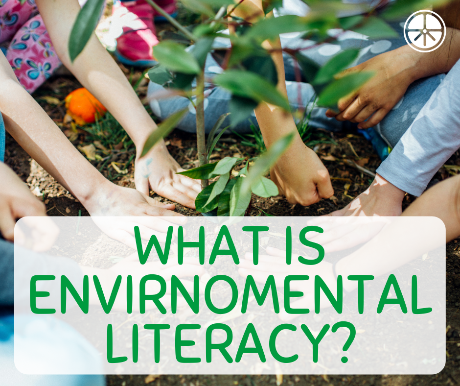 What Is Environmental Literacy Infographic Green Guardians Blog